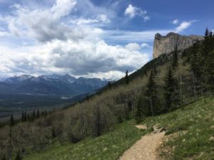 “We can’t take these beautiful places for granted, we have to protect them, invest in them, and keep them affordable,” said@joececiyyc, the Alberta NDP candidate for Calgary-Buffalo.